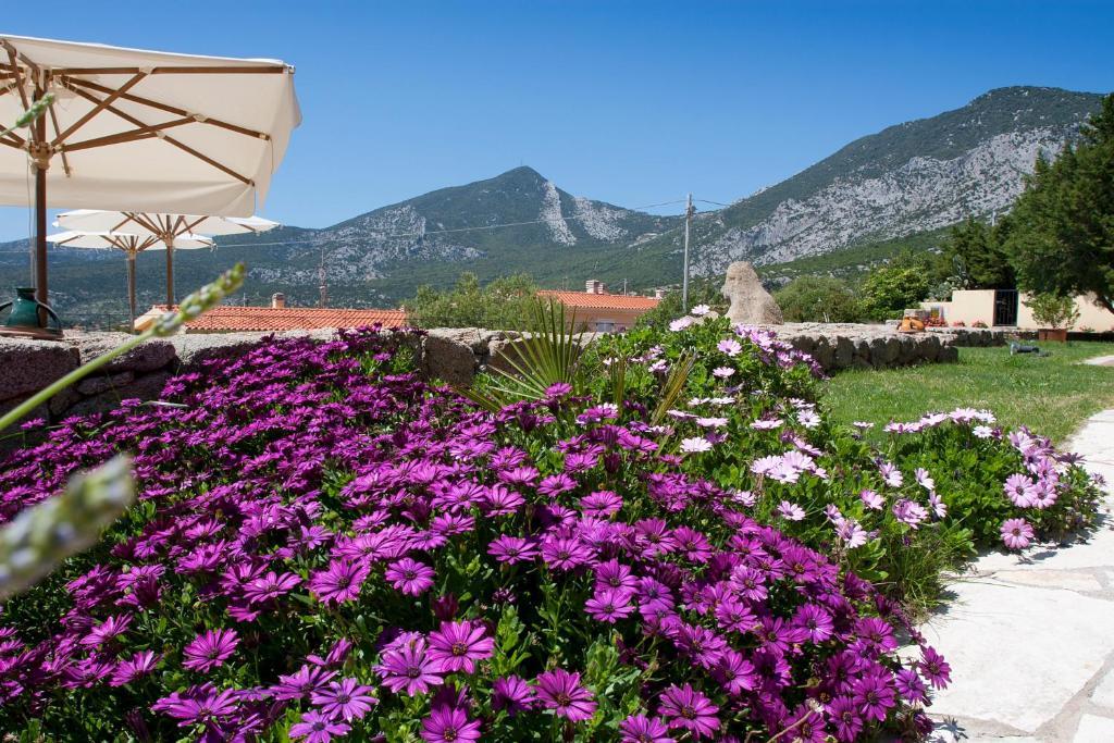 Hotel Villa Gustui Maris Cala Gonone Dış mekan fotoğraf